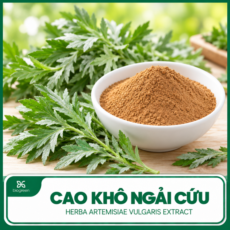 cao kho ngai cuu