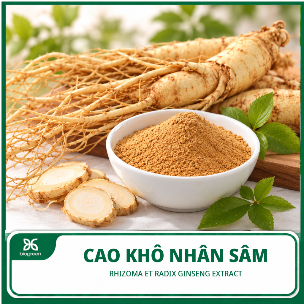 Cao khô Nhân sâm