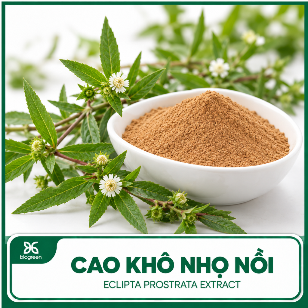 Cao khô Nhọ nồi (Cỏ mực)