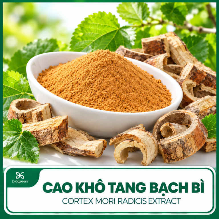 cao kho tang bach bi