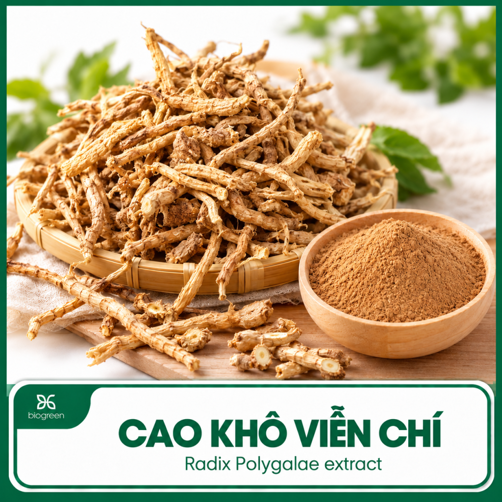 Cao khô Viễn chí
