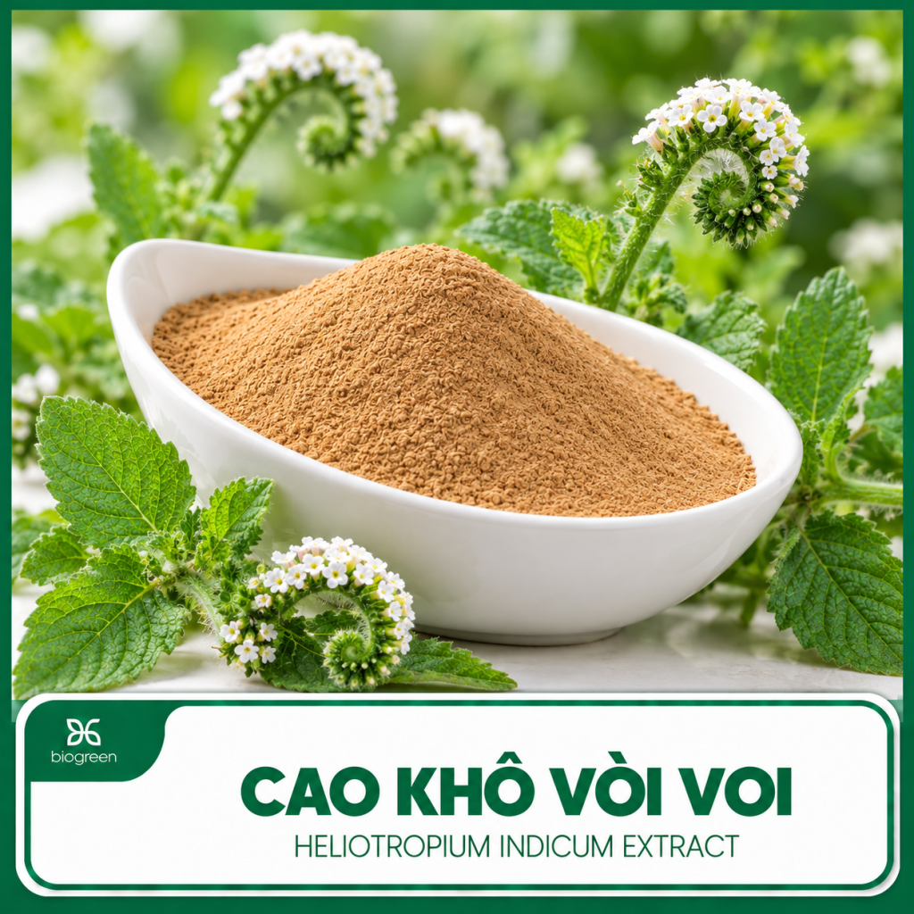 Cao khô Vòi voi