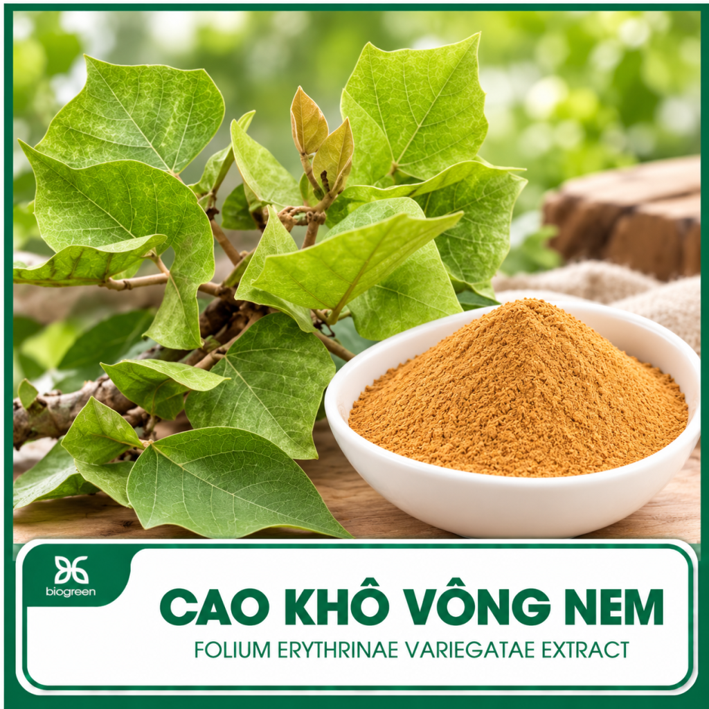 Cao khô Vông nem