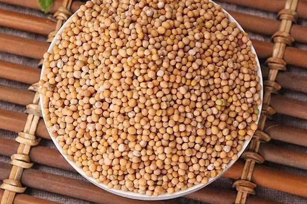 Bạch giới tử là gì? Công dụng và lưu ý khi dùng 3