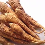 Công dụng của củ bạch chỉ trong y học cổ truyền
